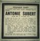 Antonie (Kocka) Subert - Obituary 29 Mar 1945 in Chicago 'Denni Hlasatel' p5